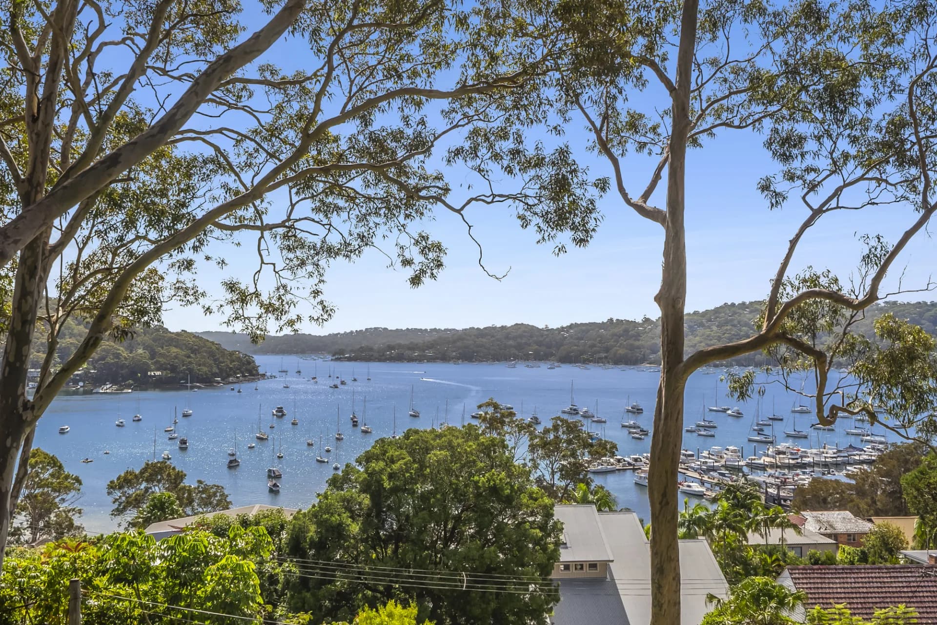 25 Bakers Road, Church Point, NSW, Church Point - Thumbnail 4