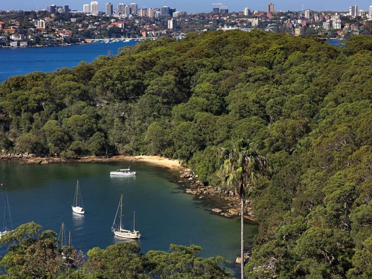 1 Buena Vista Avenue, MOSMAN, Mosman - Thumbnail 8