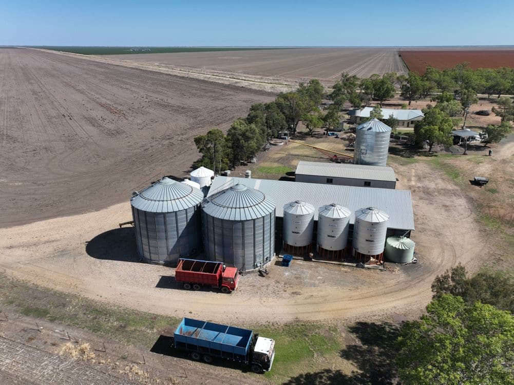 879 The Clump Road, BELLATA, NSW 2397, Bellata - Thumbnail 2