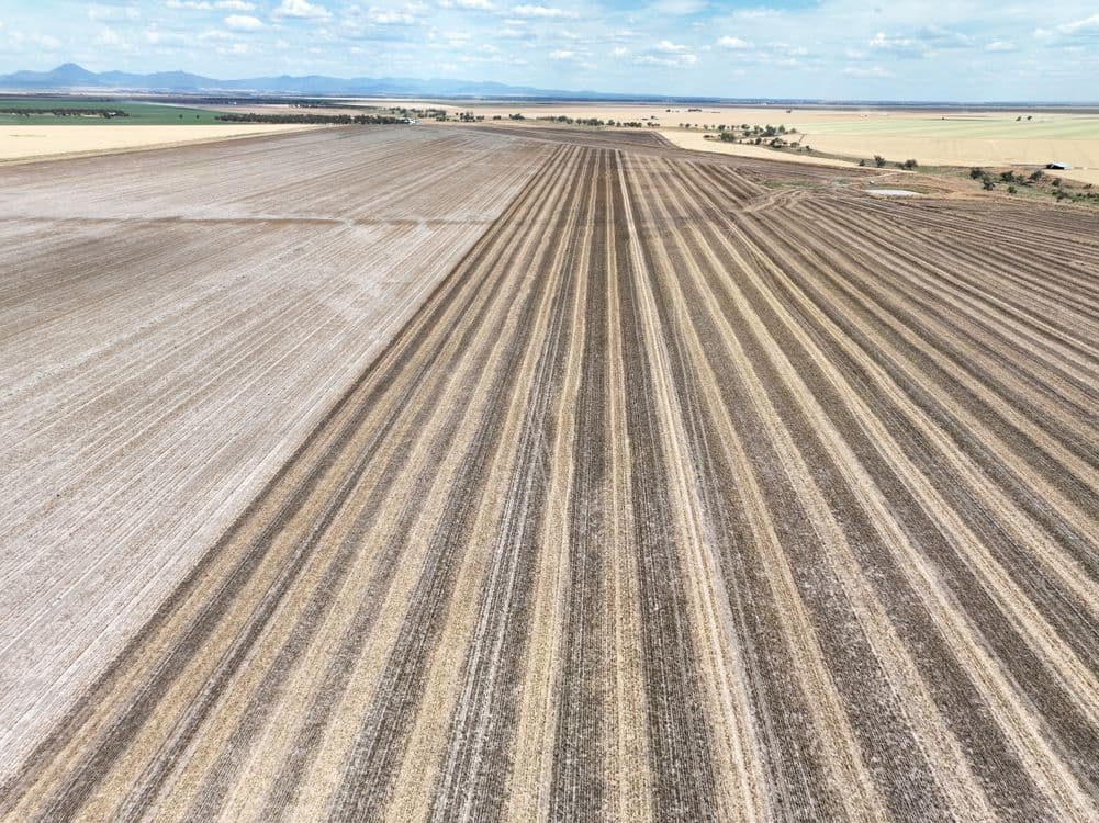 879 The Clump Road, BELLATA, NSW 2397, Bellata - Thumbnail 5