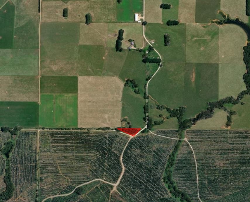 . Croles Road, TROWUTTA, TAS 7330, Trowutta - Image 1