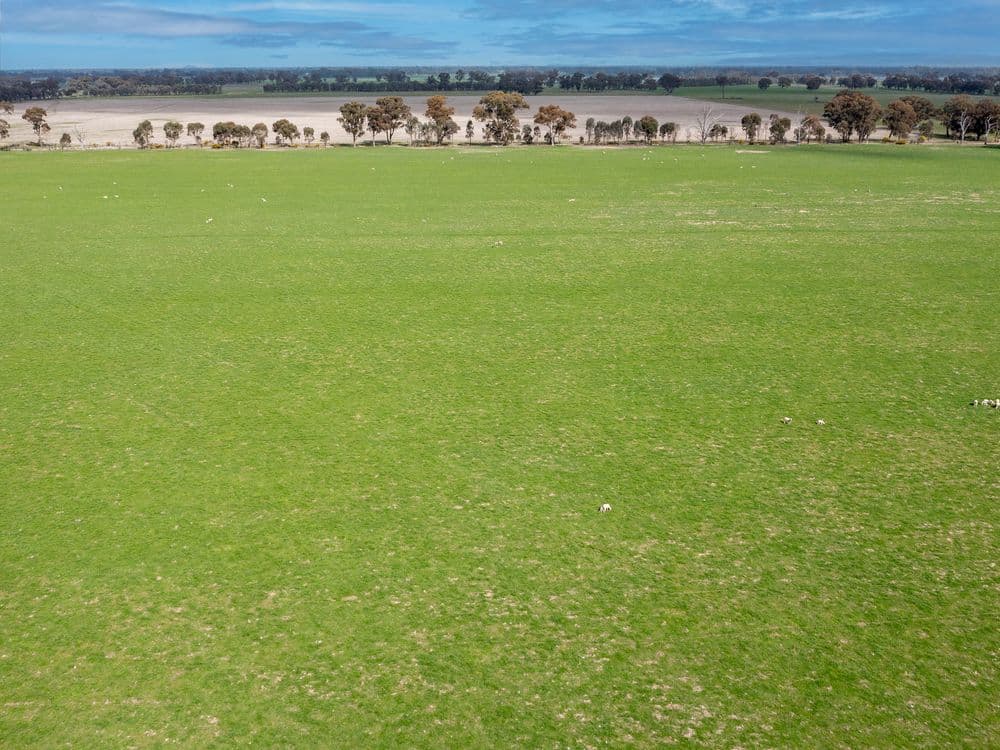 "Seymours"/CA 3 Boundary Road, NORONG, VIC 3682, Norong - Thumbnail 6
