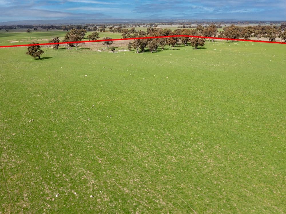 "Seymours"/CA 3 Boundary Road, NORONG, VIC 3682, Norong - Thumbnail 7