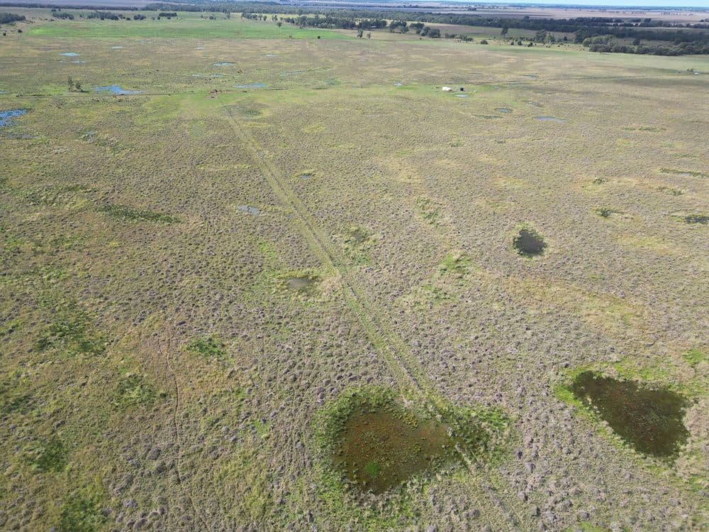 "EastLea" Chinchilla Wondai Road, CHINCHILLA, QLD 4413, Chinchilla - Thumbnail 8