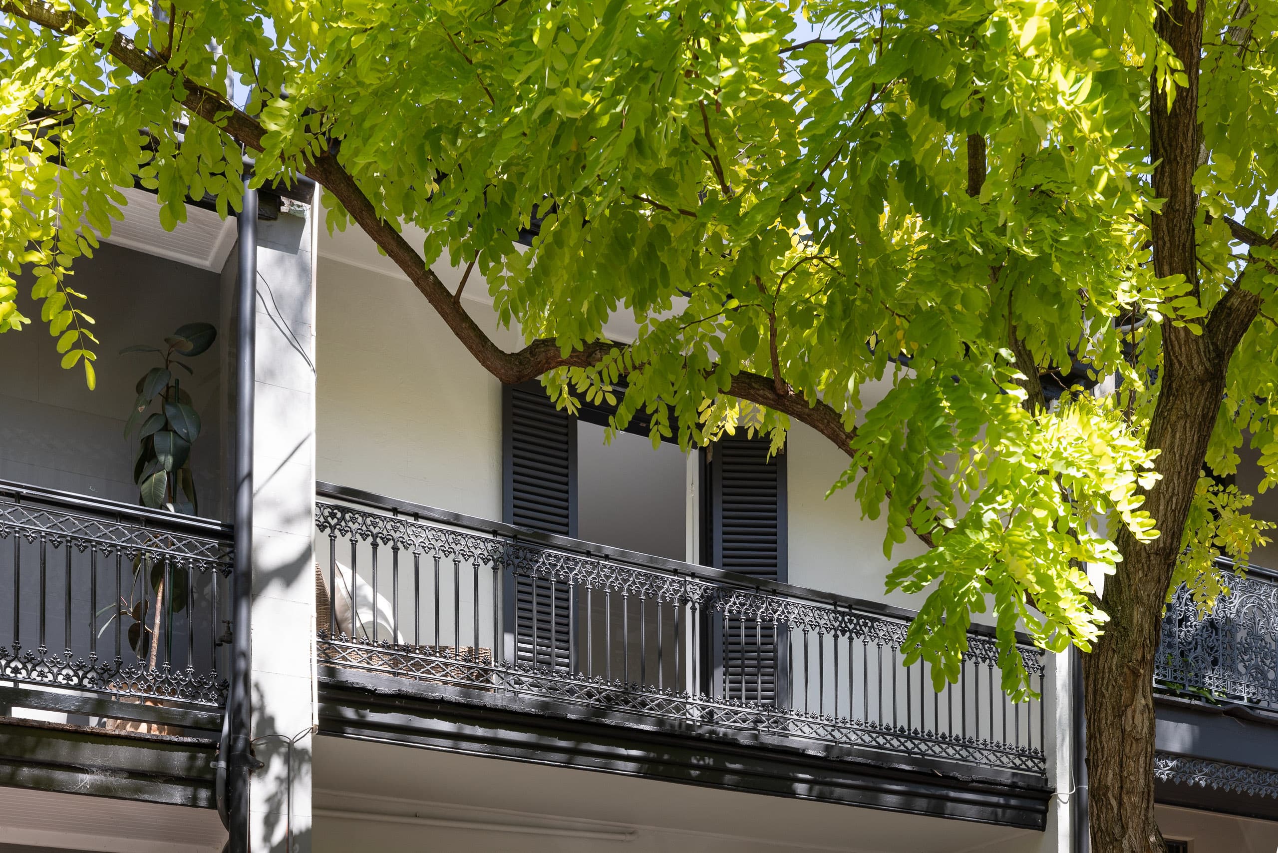 31 Lansdowne Street, Surry Hills - Thumbnail 2