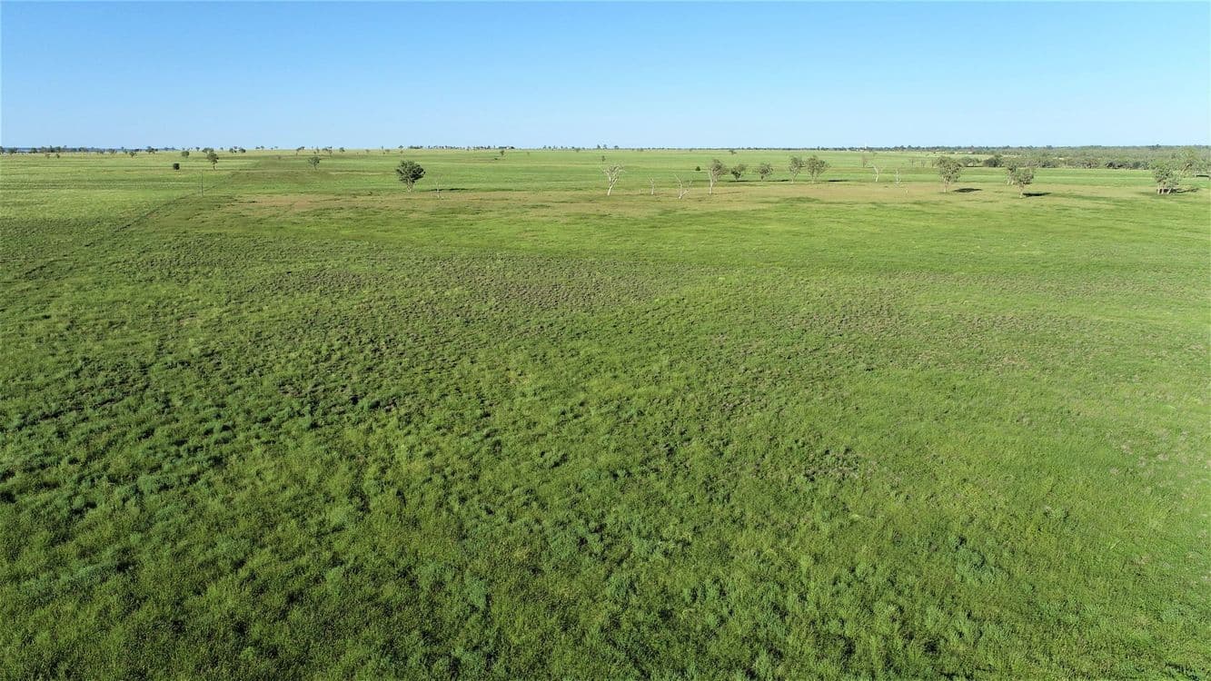 . 'Bymount', ROMA, QLD 4455, Roma - Thumbnail 2