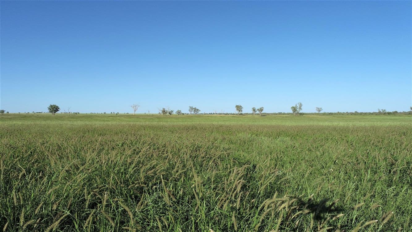 . 'Bymount', ROMA, QLD 4455, Roma - Thumbnail 4