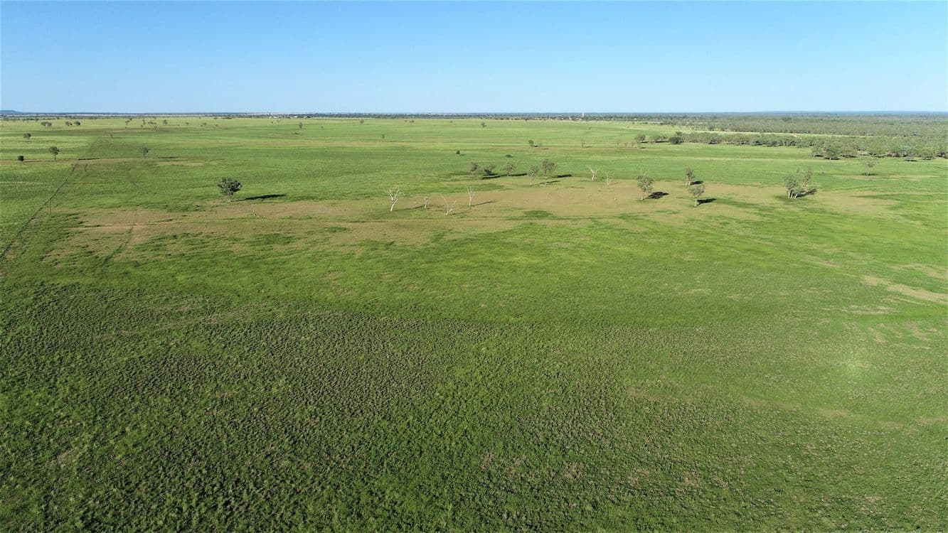 . 'Bymount', ROMA, QLD 4455, Roma - Thumbnail 5