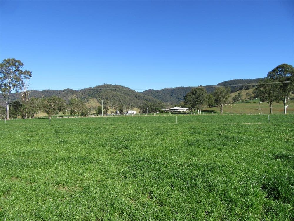 2527 Maleny Kenilworth Road, CONONDALE, QLD 4552, Conondale - Image 1