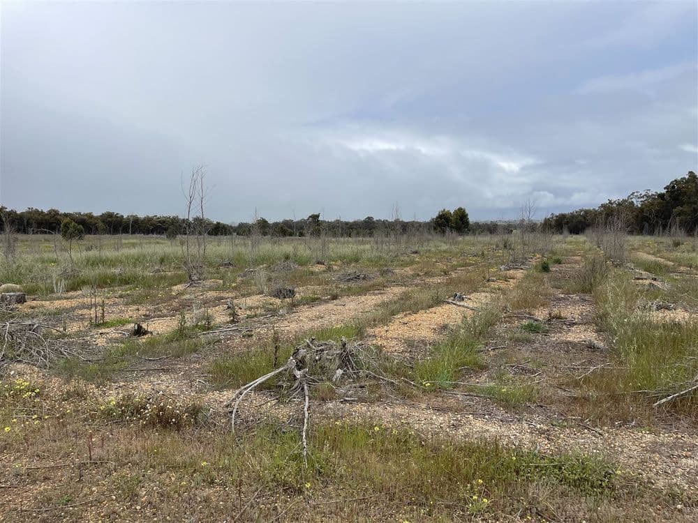 417 Poorrarecup Road, TENTERDEN, WA 6322, Tenterden - Thumbnail 4