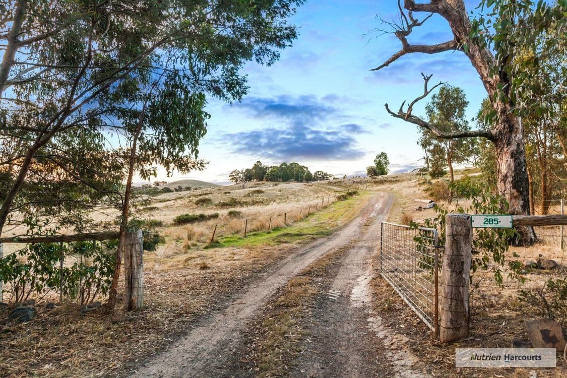 3234/285 Clonbinane Road, Clonbinane, VIC 3658, Clonbinane - Thumbnail 2