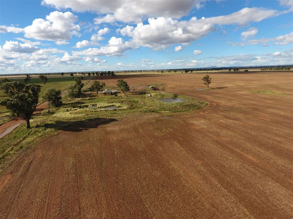 71 "Niaga" Davies Road, Forbes, NSW 2871, Forbes - Thumbnail 6