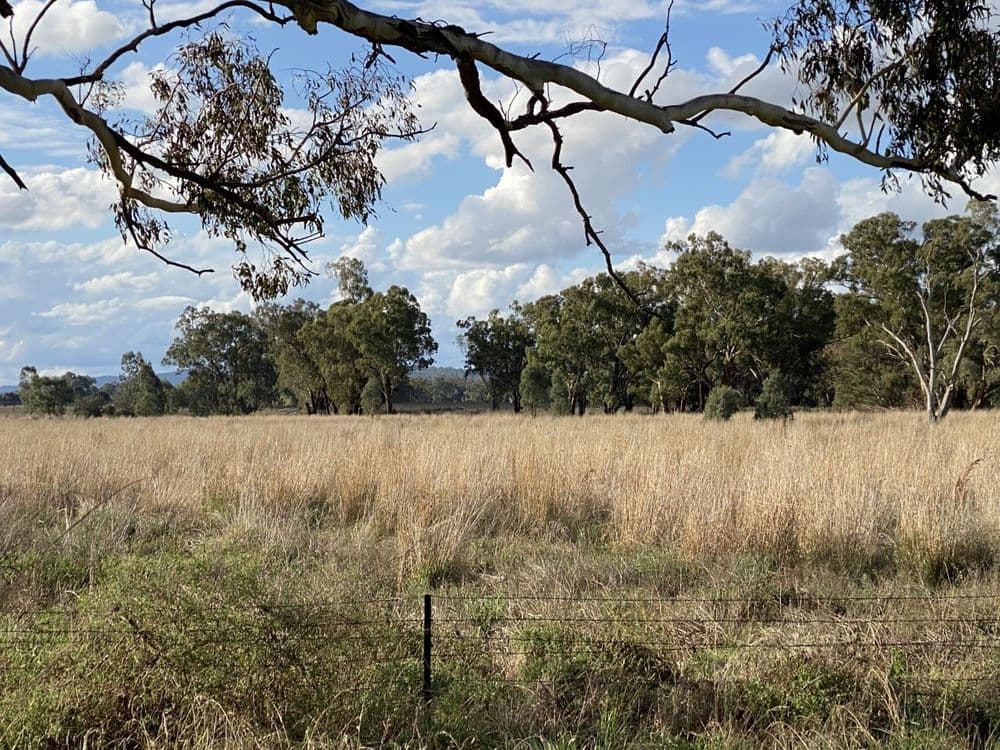 Gooloogong NSW, Gooloogong - Thumbnail 2