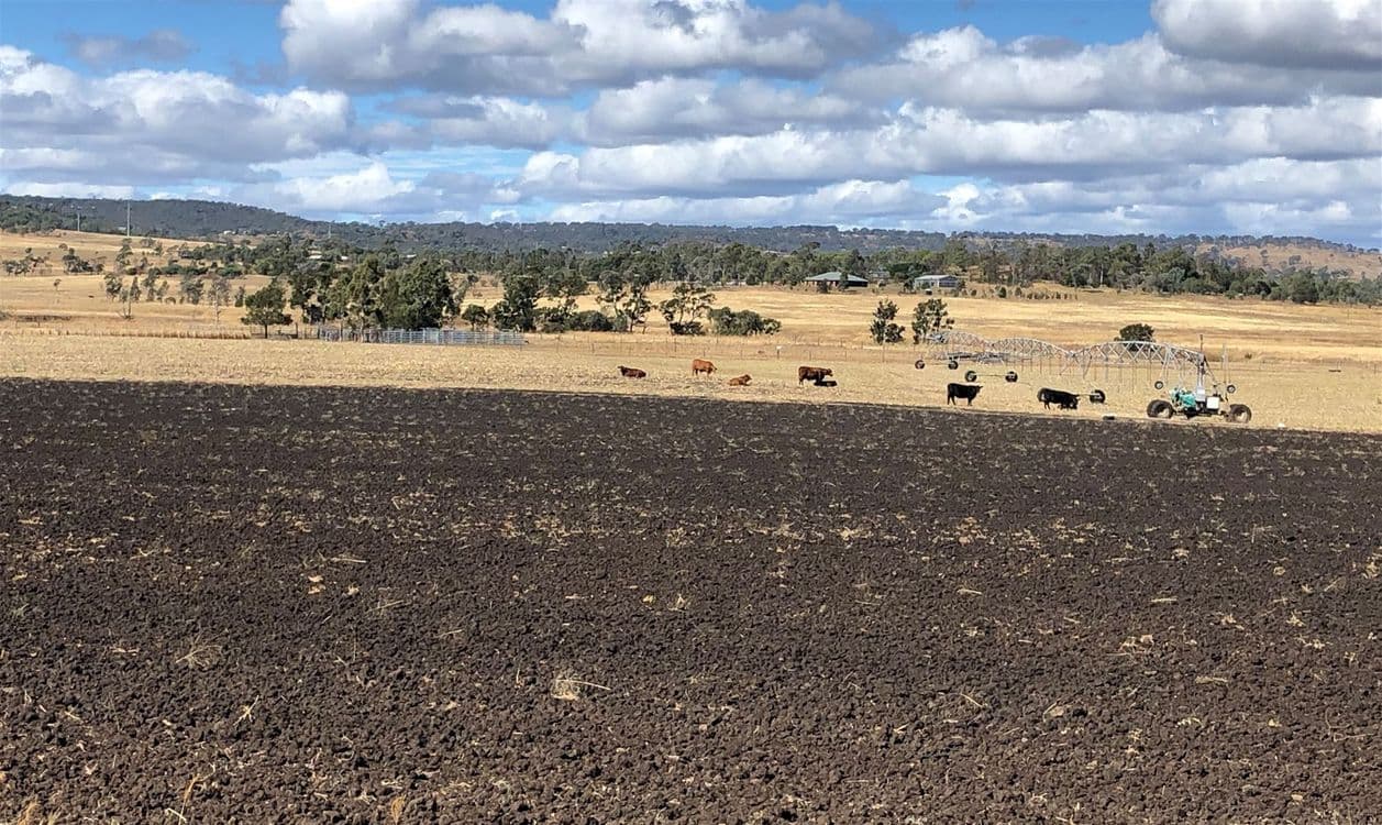 New England Highway, Hodgson Vale, QLD 4352, Hodgson Vale - Thumbnail 2