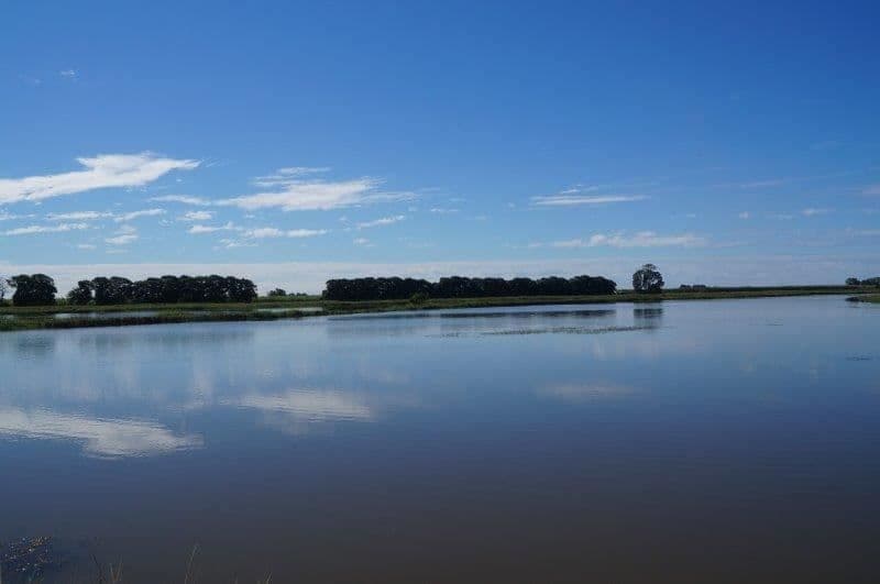 286 BARRETT ROAD, Brandon, QLD 4808, Brandon - Thumbnail 4