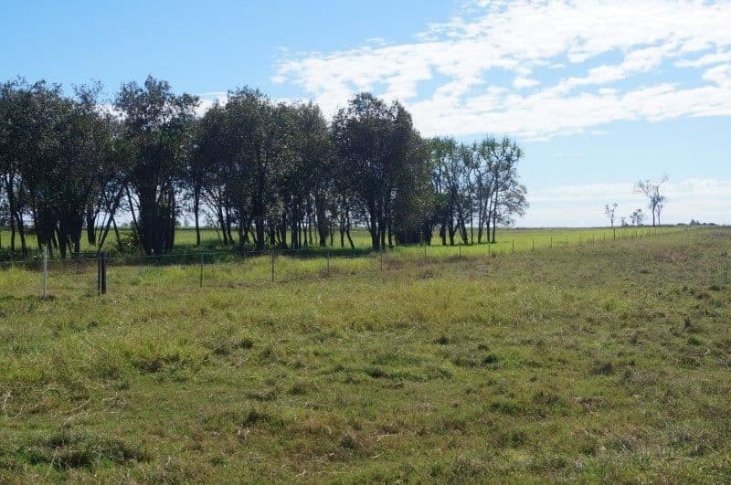 286 BARRETT ROAD, Brandon, QLD 4808, Brandon - Thumbnail 6
