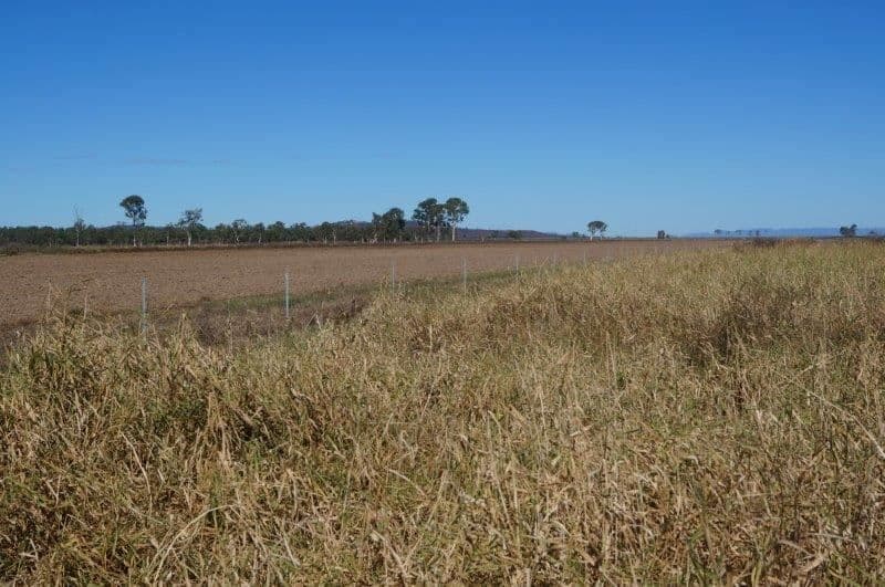 286 BARRETT ROAD, Brandon, QLD 4808, Brandon - Thumbnail 8