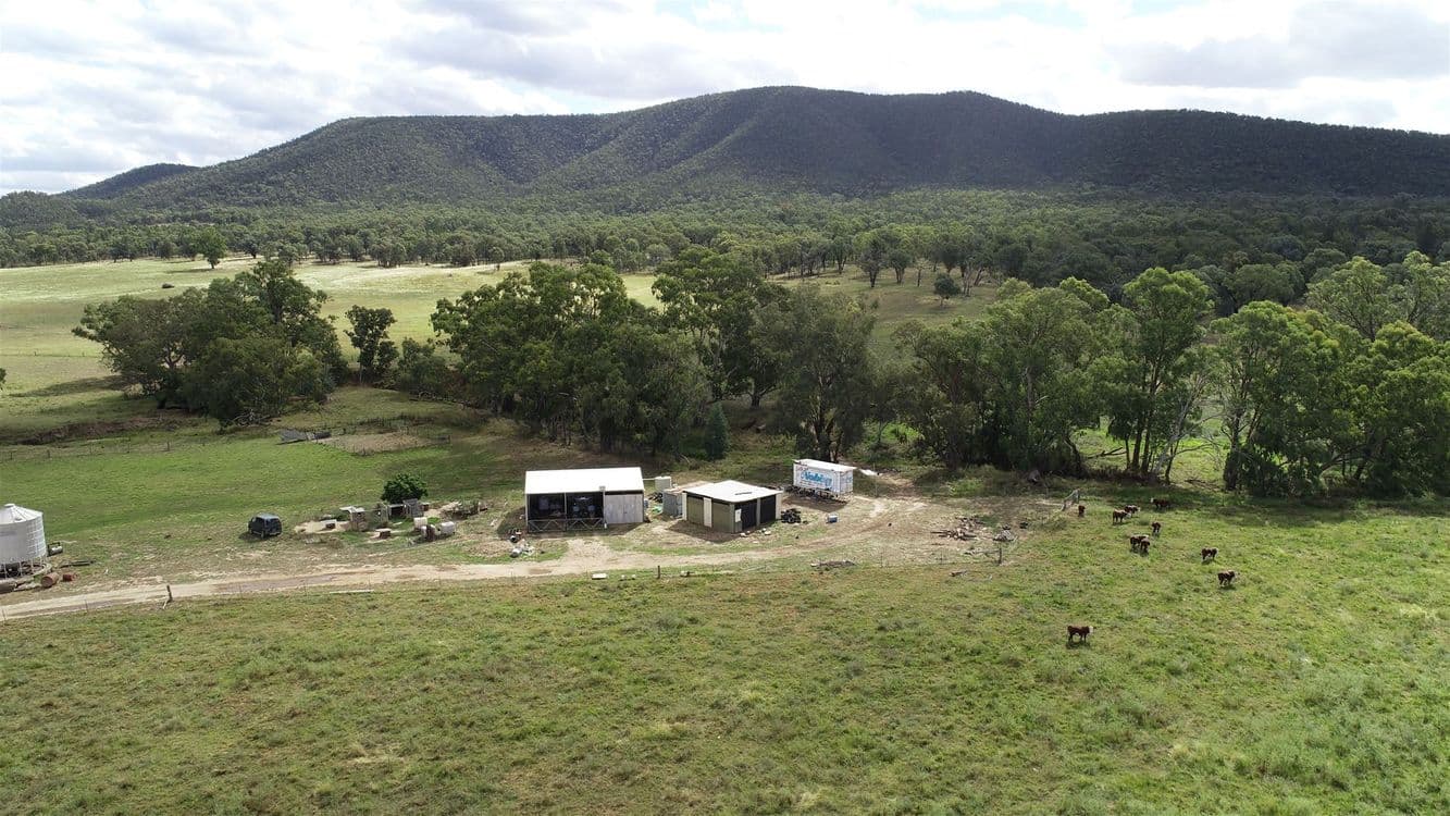 979 Kangarooby Road, Gooloogong, NSW 2805, Gooloogong - Thumbnail 2