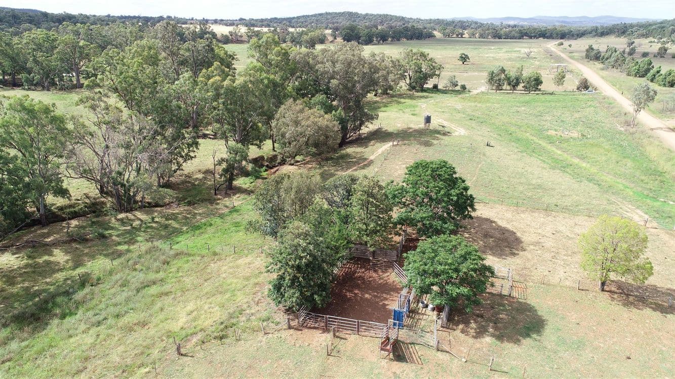 979 Kangarooby Road, Gooloogong, NSW 2805, Gooloogong - Thumbnail 3
