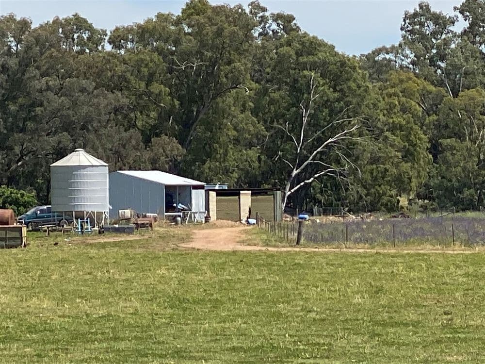 979 Kangarooby Road, Gooloogong, NSW 2805, Gooloogong - Thumbnail 6