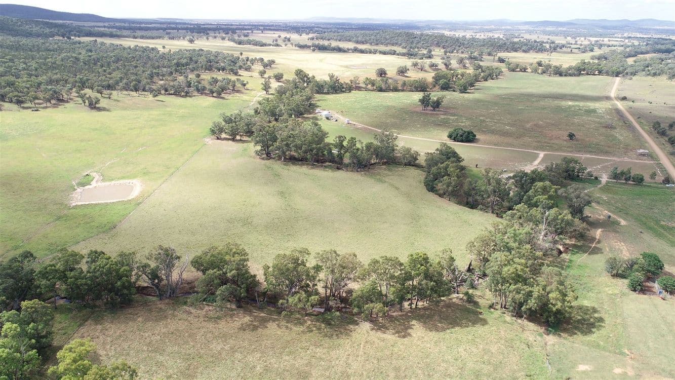 979 Kangarooby Road, Gooloogong, NSW 2805, Gooloogong - Thumbnail 7