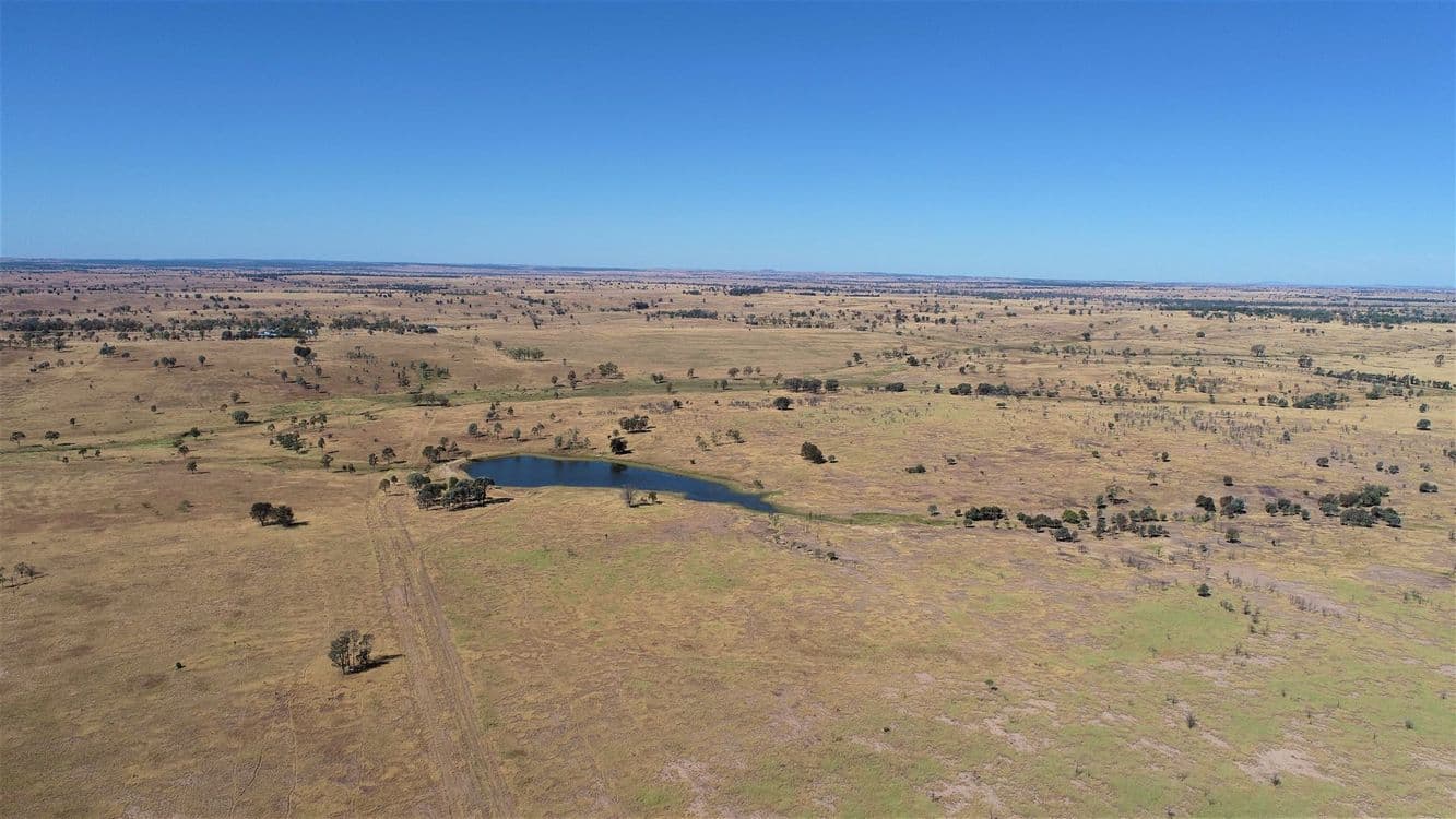 719 Injune/Taroom Rd "Allbro Downs", Injune, QLD 4454, Injune - Thumbnail 5