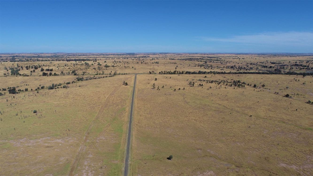719 Injune/Taroom Rd "Allbro Downs", Injune, QLD 4454, Injune - Thumbnail 8