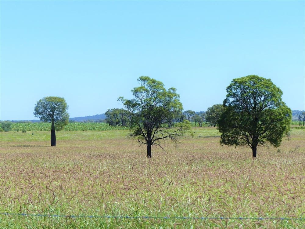 500 Well Gully Road "Well Gully", Mitchell, QLD 4465, Mitchell - Image 1