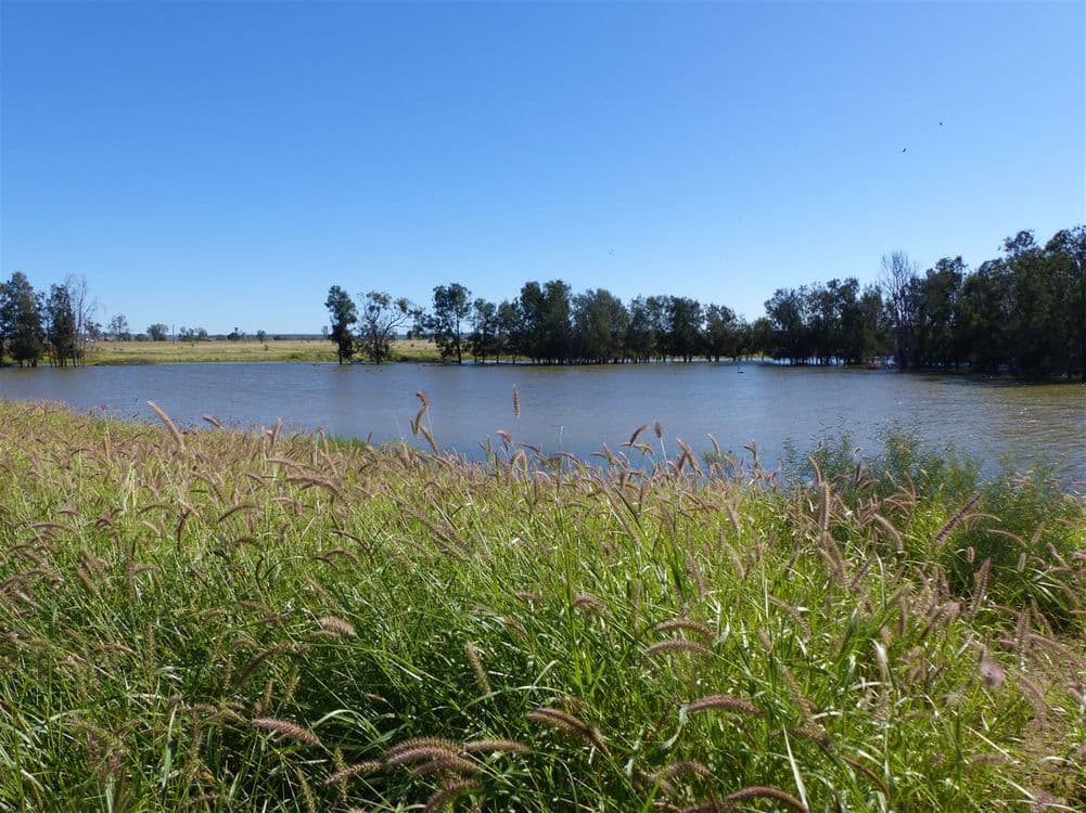 500 Well Gully Road "Well Gully", Mitchell, QLD 4465, Mitchell - Thumbnail 4
