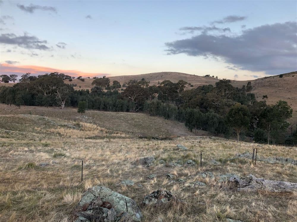 254 Fernhills Road, Sheans Creek, VIC 3666, Sheans Creek - Thumbnail 3