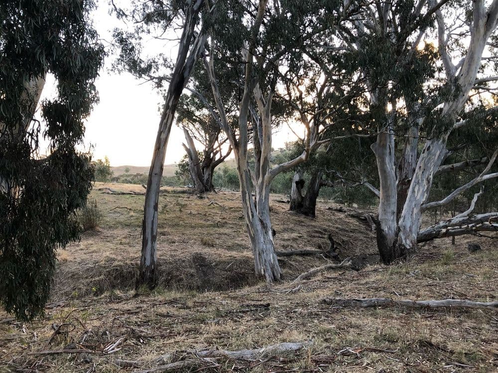 254 Fernhills Road, Sheans Creek, VIC 3666, Sheans Creek - Thumbnail 5