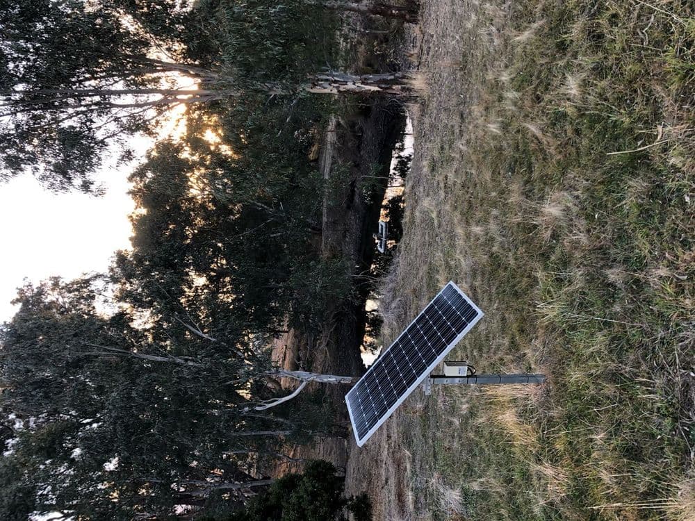 254 Fernhills Road, Sheans Creek, VIC 3666, Sheans Creek - Thumbnail 6