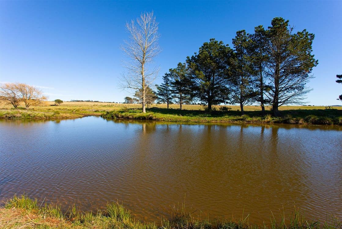 'Ravenscraig', 602 Mountain Ash Road, Goulburn, NSW 2580, Goulburn - Thumbnail 7