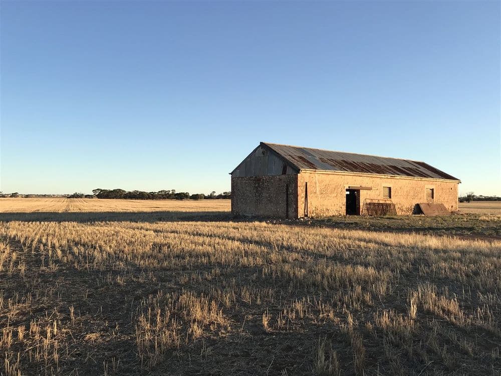 139 Willamulka Road,  Willamulka, Kadina, SA 5554, Willamulka - Thumbnail 2
