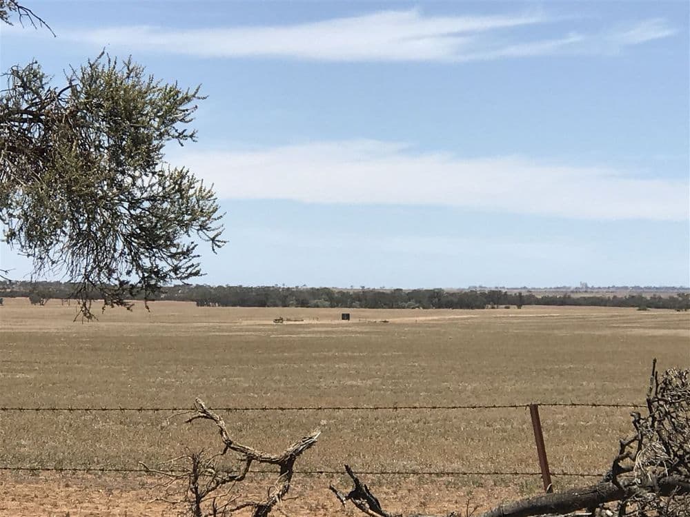 139 Willamulka Road,  Willamulka, Kadina, SA 5554, Willamulka - Thumbnail 3