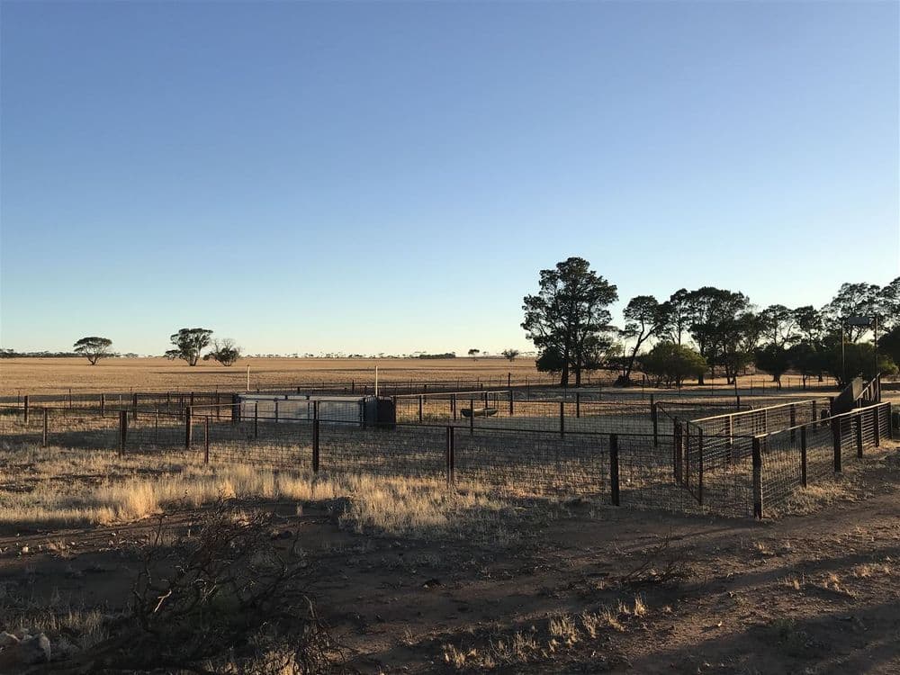 139 Willamulka Road,  Willamulka, Kadina, SA 5554, Willamulka - Thumbnail 4