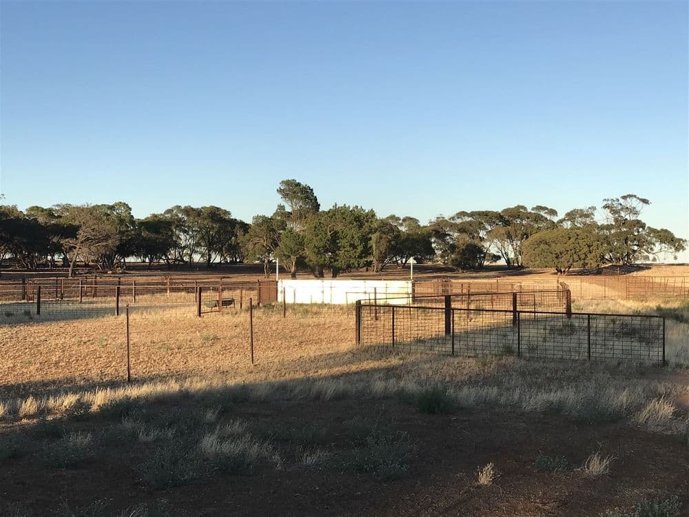 139 Willamulka Road,  Willamulka, Kadina, SA 5554, Willamulka - Thumbnail 5