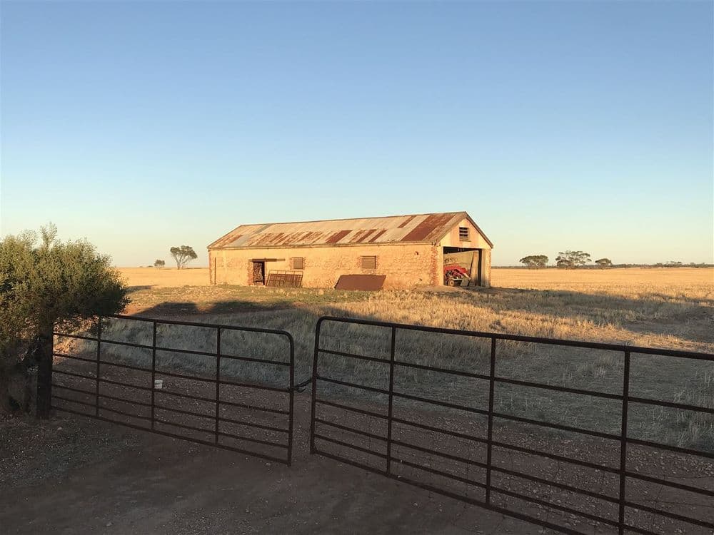 139 Willamulka Road,  Willamulka, Kadina, SA 5554, Willamulka - Thumbnail 7