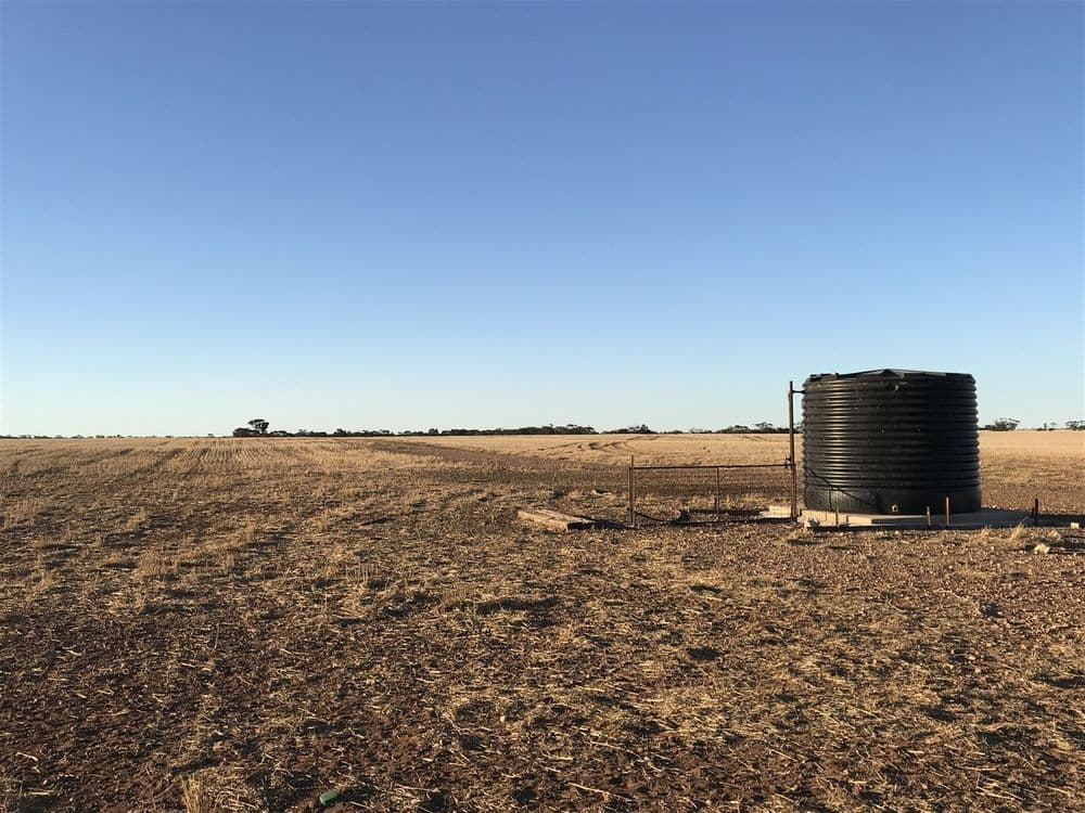 139 Willamulka Road,  Willamulka, Kadina, SA 5554, Willamulka - Thumbnail 8