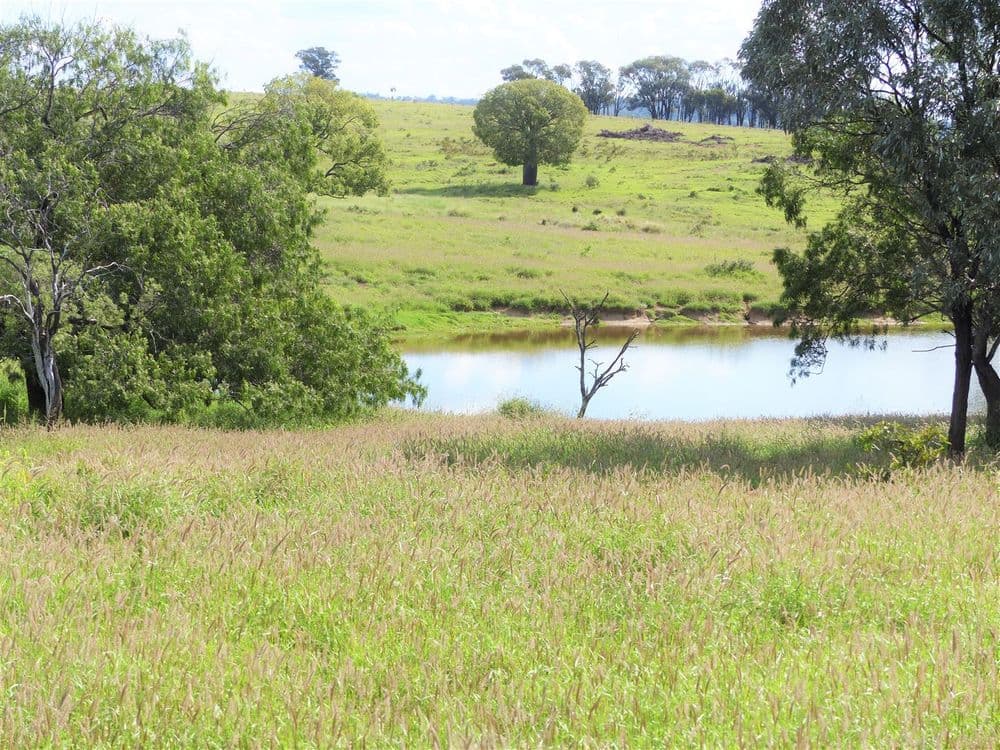 32O Summerfield Road "Summerfield", Wandoan, QLD 4419, Wandoan - Image 1