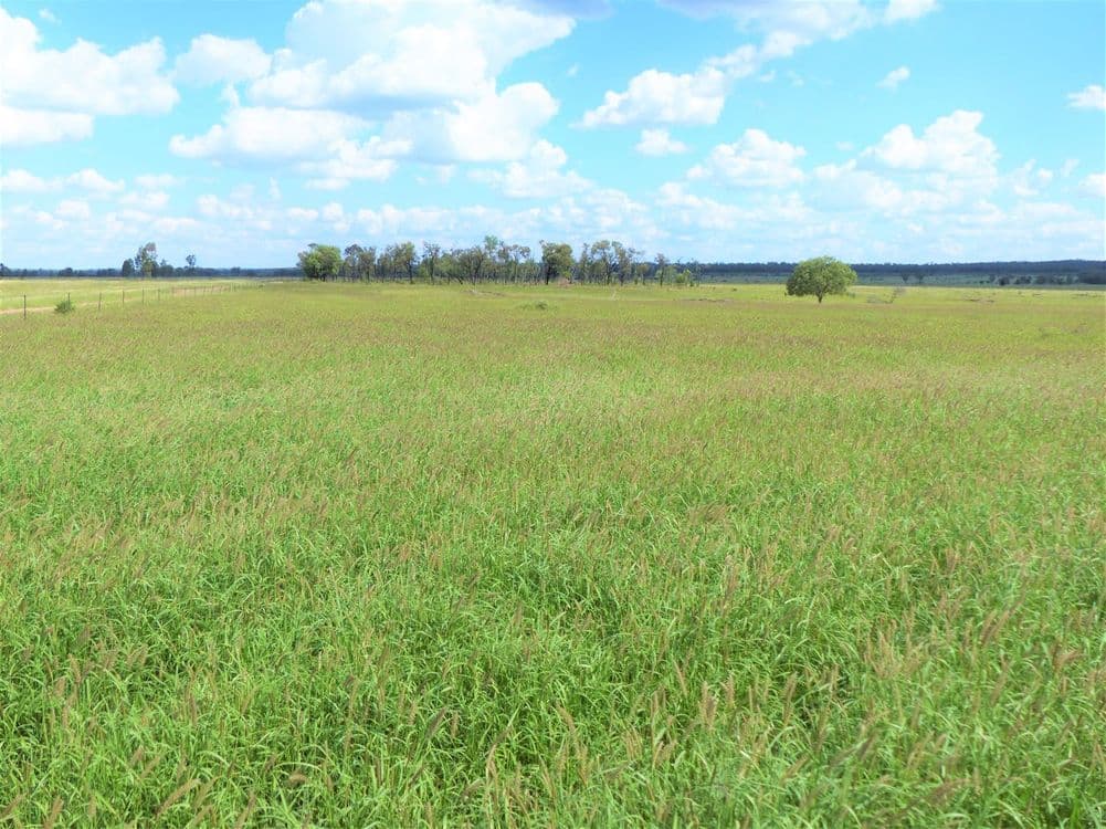 32O Summerfield Road "Summerfield", Wandoan, QLD 4419, Wandoan - Thumbnail 3
