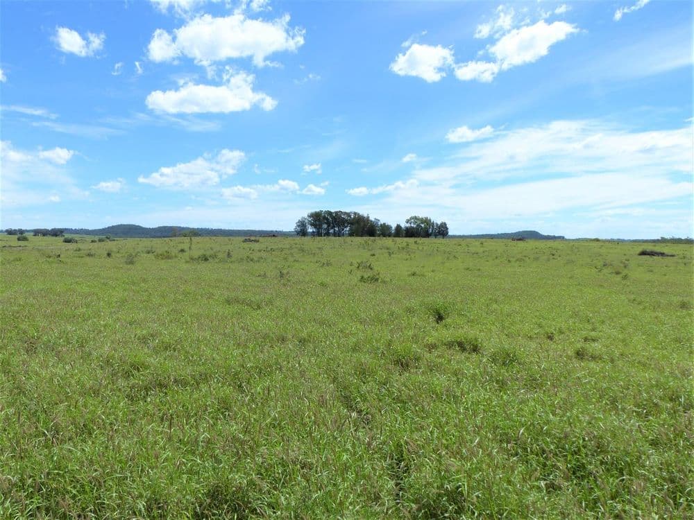 32O Summerfield Road "Summerfield", Wandoan, QLD 4419, Wandoan - Thumbnail 5