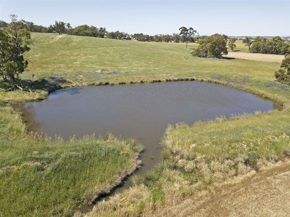 297 & 320 Murratana Road, Murray Town, SA 5481, Murray Town - Thumbnail 2