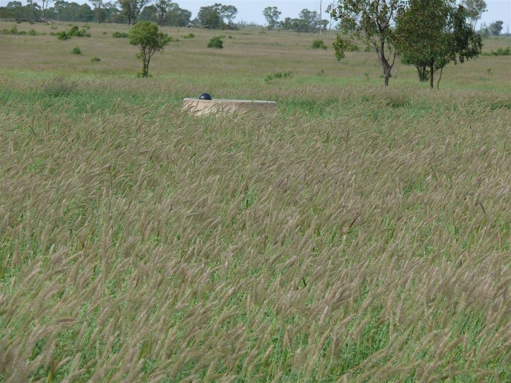 '' Ashmount, Muckadilla, QLD, 4461, Muckadilla - Thumbnail 6