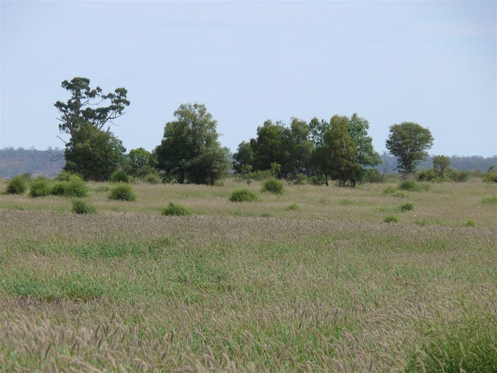 '' Ashmount, Muckadilla, QLD, 4461, Muckadilla - Thumbnail 8