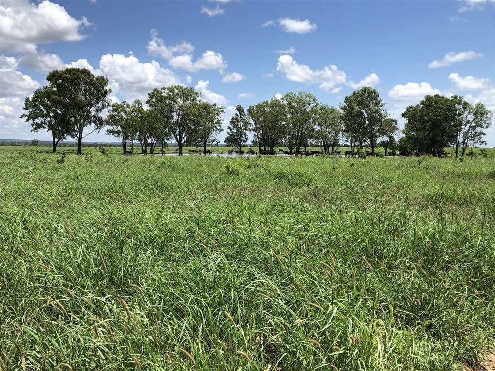 Middlemount QLD, Middlemount - Thumbnail 3