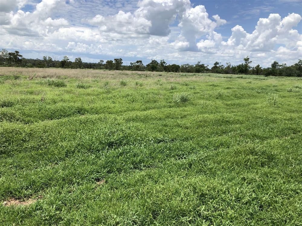 Middlemount QLD, Middlemount - Thumbnail 5