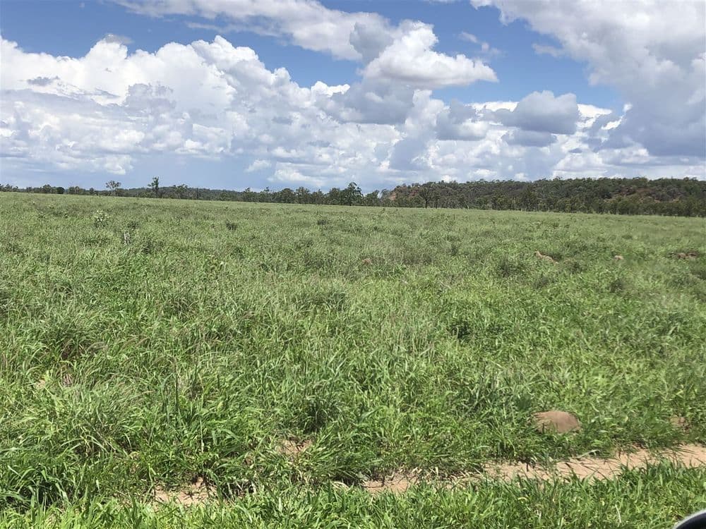 Middlemount QLD, Middlemount - Thumbnail 8