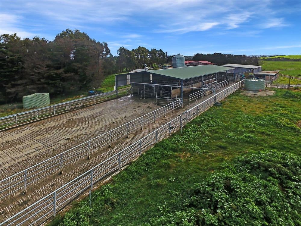 24 McIntoschs Road, Meeniyan, VIC 3956, Meeniyan - Thumbnail 3