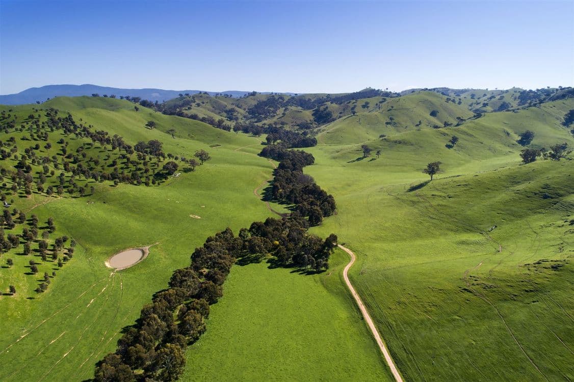 62 Upper King Parrot Creek Road, Strath Creek, VIC 3658, Strath Creek - Image 1